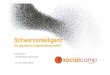 Schwarm Socialcamp08 Schroll