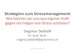 Dr. Siegmar Dettlaff - Strategien zum Stressmanagement?