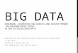 Big data - Gewinnung, Auswertung und Darstellung großer Mengen onlinegenerierter Daten