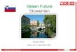 2009. Christian Miller. Green future – Slowenien. CEE-Wirtschaftsforum 2009. Forum Velden