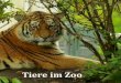 Tiere im Zoo (Bilderbuch)