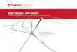 Endovascular Snare Family Brochure (German)