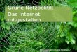 Referat Grüne Solothurn zu Netzpolitik (21.11.2012)