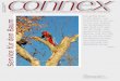 CONNEX Nr. 177 - Juli/August 2011 - Format A4