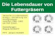 3 bis 5 Jahre Lebensdauer von Futtergraesern in Gemengen von Horstgraesern, HUMER. 2013dez15