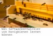 Was Softwareentwickler von Honigbienen lernen können