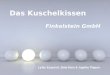 Nos projets - Projets 2A - Filkenstein GMBH - Présentation