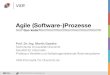 Agile (Software-) Prozesse - Quo Vadis? [in German]