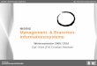 Management- und Brancheninformationssysteme