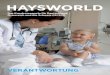 HaysWorld: Verantwortung (Gesamtausgabe 02/2011)