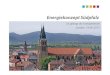 2013 06 19 energiekonzept südpfalz präsentation  od