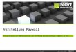20100520   zelect - paywall - präsentation web