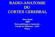 RADIO-ANATOMIE DU CORTEX CEREBRAL Marc Braun 2008 Neuroradiologie et Anatomie - Faculté de Médecine - CHU Nancy