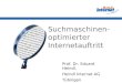 Suchmaschinen- optimierter Internetauftritt Prof. Dr. Eduard Heindl, Heindl Internet AG Tübingen