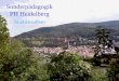 Sonderpädagogik PH Heidelberg Studienaufbau. Aufteilung in 4 Bereiche: 1. Sonderpädagogische Fachrichtung Wahlpflichtbereiche Grundfragenbereiche 2. Sonderpädagogische