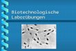 Biotechnologische Laborübungen. Referenten b Mag. Alfred Langeder Fa. Schott-Eppendorf b Dr. Renate Pfleger BA für Milchwirtschaft Wolfpassing b Mag