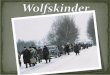 Was sind Wolfskinder allgemein Die Flucht Überlebenshilfe durch litauische Bauern Waisenhäuser in Litauen Film Fazit zum Film Bericht von einem Wolfskind