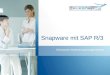 Snapware mit SAP R/3 Technische Realisierungsmöglichkeiten