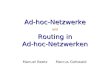 Manuel BeetzMarcus Gottwald Ad-hoc-Netzwerke und Routing in Ad-hoc-Netzwerken