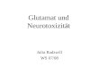 Glutamat und Neurotoxizität Julia Radzwill WS 07/08