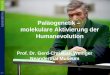 Paläogenetik – molekulare Aktivierung der Humanevolution Prof. Dr. Gerd-Christian Weniger Neanderthal Museum