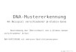 Dr. Hauke Holtorf / LS Stuttgart DNA-Mustererkennung Am Beispiel verschiedener -Globin-Gene Bestimmung der Ähnlichkeit von -Globin-Genen verschiedener