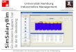 SimSalaryBim: Ein Decision-Support-Tool für die W-Besoldung Universität Hamburg Industrielles Management SimSalaryBim Funktionsbeschreibung Universität