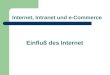 Internet, Intranet und e-Commerce Einfluß des Internet