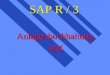 SAP R / 3 AnlagenbuchhaltungAM. Funktionselemente des Moduls AM klassische Anlagenbuchhaltung (AA) klassische Anlagenbuchhaltung (AA) Investitionscontrolling