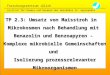 Title Forschungszentrum Jülich Institut für Chemie und Dynamik der Geosphäre IV: Agrosphäre TP 2.3: Umsatz von Maisstroh in Mikrokosmen nach Behandlung