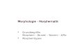 Morphologie - Morphematik Grundbegriffe: Morphem – Wurzel – Stamm – Affix Morphemtypen