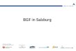 BGF in Salzburg. 05.01.2014 | Seite 2 Ausgangssituation in Salzburg 82,5 % Kleinstunternehmen; 14,3 % Kleinunternehmen Bereits Unterstützungsleistungen
