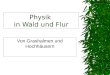 Physik in Wald und Flur Von Grashalmen und Hochhäusern