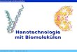 Nanotechnologie mit Biomolekülen Josef Riedl 06 / 2004  Nanotechnologie mit Biomolekülen