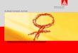Ressort Frauen- und Gleichstellungspolitik Alterssicherung in Deutschland IG Metall Vorstand, Isaf Gün