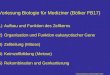 Vorlesung Biologie für Mediziner (Bölker FB17) 1)Aufbau und Funktion des Zellkerns 2)Organisation und Funktion eukaryotischer Gene 3)Zellteilung (Mitose)
