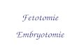 Fetotomie Embryotomie. Fetotomie / Embryotomie Definition: 1.Es ist eine Maßnahme zur Beendigung eines gestörten Geburtsablaufes durch Zerstückelung der
