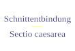 Schnittentbindung Sectio caesarea. Schnittentbindung / Sectio caesarea Definition: Unter der Bezeichnung Kaiserschnitt (Sectio caesarea) versteht man