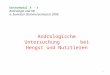 Untermodul 4 - 4 Andrologie und KB 6. Semester (Sommersemester) 2008 Andrologische Untersuchung bei Hengst und Nutztieren 1