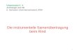 Untermodul 4 - 9 Andrologie und KB 6. Semester (Sommersemester) 2009 Die instrumentelle Samenübertragung beim Rind 1