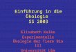 Einführung in die Ökologie SS 2003 Elisabeth Kalko Experimentelle Ökologie der Tiere Bio III Universität Ulm