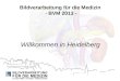 Bildverarbeitung für die Medizin - BVM 2013 - Willkommen in Heidelberg