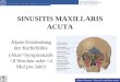 Niklas Reimers: Sinusitis maxillaris acuta KLINIK UND POLIKLINIK FÜR HALS-, NASEN-, OHRENHEILKUNDE KOPF- UND HALSCHIRURGIE SINUSITIS MAXILLARIS ACUTA Akute