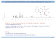 Spektroskopische Methoden in der Organischen Chemie (OC IV) NMR -4_1 Probleme bei der Interpretation von NMR Spektren großer Moleküle - Zuordnung der Resonanzen