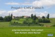 Projekt CMS-Fleisch Johannes Isenmann, Felix Labhart Sven Rumpel, David Rychen