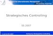 Institut für Internationales Management Dr. Susanne Gretzinger 5. Juli im SS 2007 Vorlesung: Strategisches Controlling Strategisches Controlling SS 2007