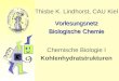 Thisbe K. Lindhorst, CAU Kiel Vorlesungsnetz Biologische Chemie Chemische Biologie I Kohlenhydratstrukturen