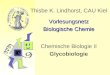 Thisbe K. Lindhorst, CAU Kiel Vorlesungsnetz Biologische Chemie Chemische Biologie II Glycobiologie