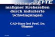 04.12.2004 Gruppe 4 Bekämpfung maligner Krebszellen durch induzierte Schwingungen CAD-Kurs bei Prof. Dr. Theuer Gruppe 4