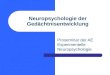 Neuropsychologie der Gedächtnisentwicklung Proseminar der AE Experimentelle Neuropsychologie